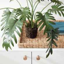 Load image into Gallery viewer, SPLIT LEAF SELLOUM DROP-IN 22.5"
