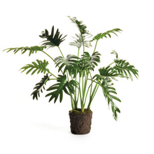 Load image into Gallery viewer, SPLIT LEAF SELLOUM DROP-IN 22.5"
