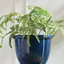Load image into Gallery viewer, FOREST FERN DROP-IN 29.5"
