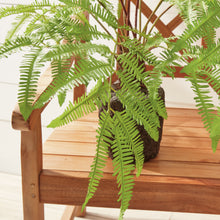 Load image into Gallery viewer, FOREST FERN DROP-IN 29.5"
