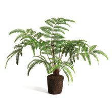 Load image into Gallery viewer, FOREST FERN DROP-IN 29.5"

