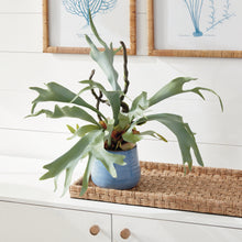 Load image into Gallery viewer, Staghorn Fern Drop-In 22"
