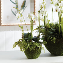 Load image into Gallery viewer, PHALAENOPSIS &amp; FERN DROP-IN 18"
