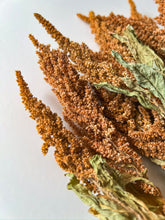 Load image into Gallery viewer, Dried Amaranth Tan
