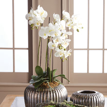 Load image into Gallery viewer, PHALAENOPSIS ORCHID DROP-IN 30"
