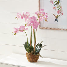 Load image into Gallery viewer, PHALAENOPSIS ORCHID DROP-IN 30"
