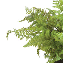 Load image into Gallery viewer, SOFT FERN DROP-IN 10.5"
