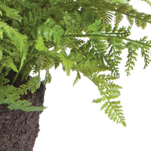 Load image into Gallery viewer, SOFT FERN DROP-IN 10.5"
