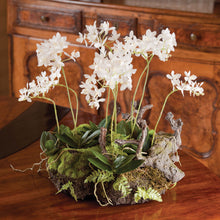Load image into Gallery viewer, MINI DENDROBIUM WITH RUSTIC DROP-IN 16"
