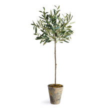 Load image into Gallery viewer, OLIVE TREE POTTED 30"
