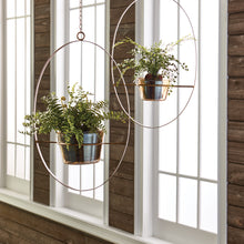 Load image into Gallery viewer, BOSTON FERN RUSTIC DROP-IN 12"
