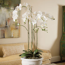 Load image into Gallery viewer, PHALAENOPSIS ORCHID DROP-IN 44"

