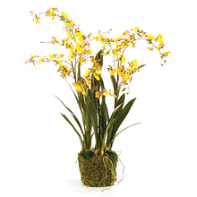 Load image into Gallery viewer, DANCING ORCHID DROP-IN 32"
