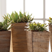Load image into Gallery viewer, SUCCULENT DROP INS 5.5", SET OF 6
