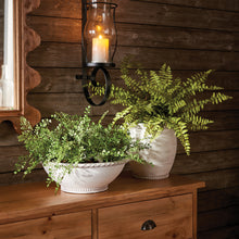 Load image into Gallery viewer, BOSTON FERN DROP-IN 12"
