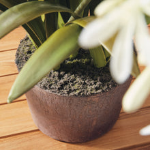 Load image into Gallery viewer, AGAPANTHUS DROP-IN 29"
