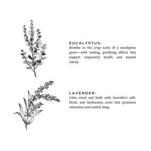 Load image into Gallery viewer, Linen Spray - Eucalyptus + Lavender
