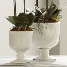 Load image into Gallery viewer, Sinclair Footed Urn – Small
