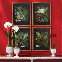 Load image into Gallery viewer, Sinclair Footed Urn – Small
