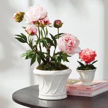 Load image into Gallery viewer, Hillingdon Tapered Cachepot
