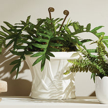 Load image into Gallery viewer, Hillingdon Tapered Cachepot
