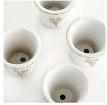 Load image into Gallery viewer, CLASSIC RABBIT MINI POTS, SET OF 4
