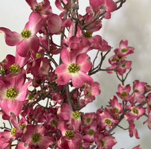 Load image into Gallery viewer, Dogwood blossom branches
