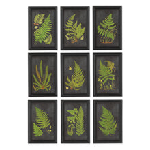 Load image into Gallery viewer, Framed Fern Botanical Prints, Set of 9
