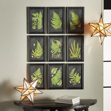Load image into Gallery viewer, Framed Fern Botanical Prints, Set of 9
