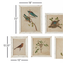 Load image into Gallery viewer, Framed Aviary Bird &amp; Nest Habitat Prints, Set of 9
