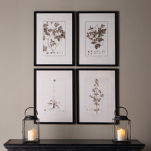 Load image into Gallery viewer, Framed Sepia-Tone Botanical Prints, Set of 4
