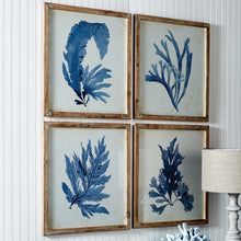 Load image into Gallery viewer, Framed Coral Watercolor Prints, Set of 4

