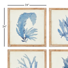 Load image into Gallery viewer, Framed Coral Watercolor Prints, Set of 4
