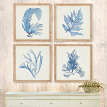 Load image into Gallery viewer, Framed Coral Watercolor Prints, Set of 4
