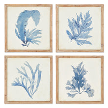 Load image into Gallery viewer, Framed Coral Watercolor Prints, Set of 4
