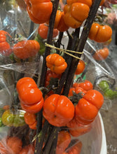 Load image into Gallery viewer, Pumpkin on a stick bundle

