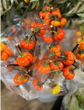 Load image into Gallery viewer, Pumpkin on a stick bundle
