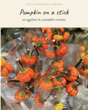 Load image into Gallery viewer, Pumpkin on a stick bundle
