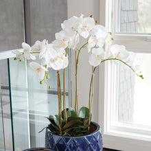 Load image into Gallery viewer, PHALAENOPSIS ORCHID BOWL DROP-IN 25"
