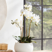 Load image into Gallery viewer, PHALAENOPSIS ORCHID BOWL DROP-IN 25"
