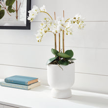 Load image into Gallery viewer, PHALAENOPSIS ORCHID DROP-IN 20"
