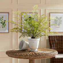 Load image into Gallery viewer, MAIDENHAIR DROP-IN 30"
