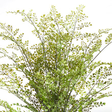 Load image into Gallery viewer, MAIDENHAIR DROP-IN 30"
