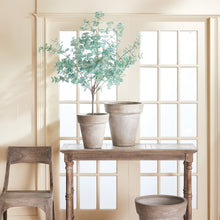 Load image into Gallery viewer, EUCALYPTUS TREE DROP-IN 49"
