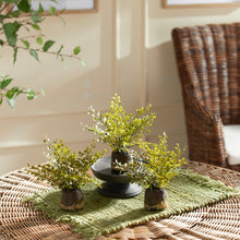 Load image into Gallery viewer, MAIDENHAIR DROP-INS, SET OF 3
