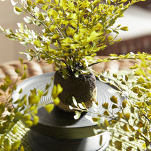 Load image into Gallery viewer, MAIDENHAIR DROP-INS, SET OF 3

