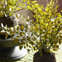 Load image into Gallery viewer, MAIDENHAIR DROP-INS, SET OF 3
