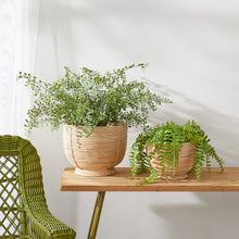 Load image into Gallery viewer, CANE RATTAN DECORATIVE FOOTED BOWLS, SET OF 2
