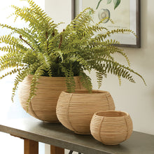Load image into Gallery viewer, CANE RATTAN PLANT BASKETS, SET OF 3
