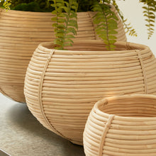 Load image into Gallery viewer, CANE RATTAN PLANT BASKETS, SET OF 3
